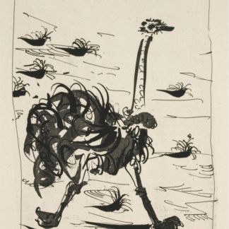pablo picasso L'autruche