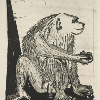 pablo picasso le singe